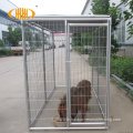 Heavy duty fancy galvanized outdoor dog kennels